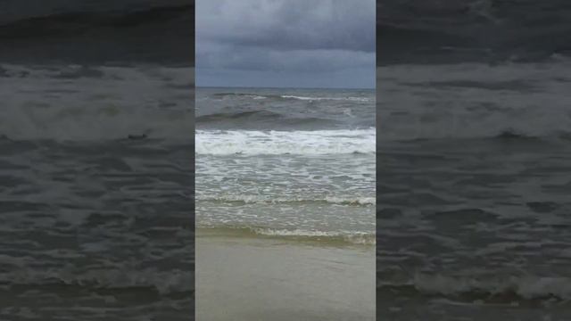 Two people caught in riptide rescued by former US Marine