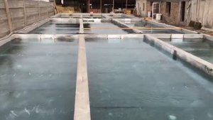 бассейны начало рыба форель