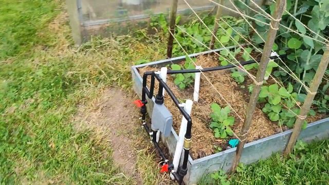 Автополив грядок своими руками часть вторая смотреть онлайн