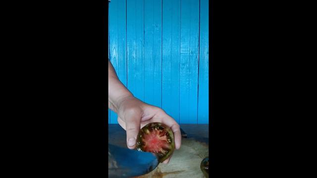 Обзор томатов гномов. Коллекция С.Туранчич. г. Киров. Ватсап тел. 89229284031 смотреть онлайн