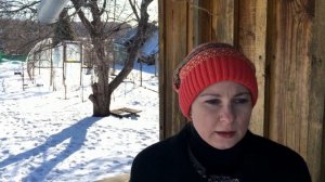 РАЗВЕДЕНИЕ СВИНЕЙ ЕСТЬ ЛИ СМЫСЛ