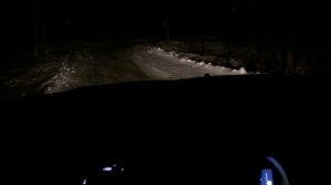 Дизель или Бензин