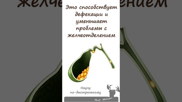 Вреден ли кофе натощак