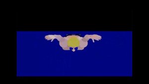 Техника плавания дельфином.