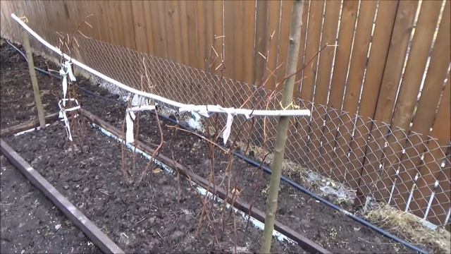 Малина двойная обрезка смотреть онлайн