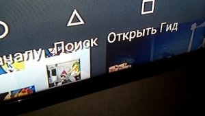 Таракан в телевизоре.