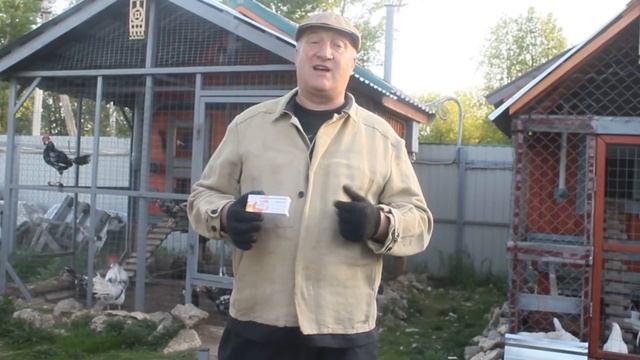 СРОЧНО ДАЙ ЭТО КУРАМ В ЖАРУ ! АСПИРИН !!! смотреть онлайн