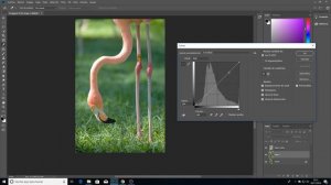 COMO RESALTAR LOS COLORES DE TU FOTOGRAFÍA CON PHOTOSHOP CC 2018