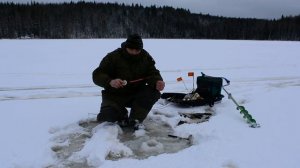 Рыбалка одним днём. На озере. Щуки и окуни сошли с ума