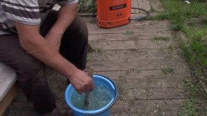 Обрабатываем табак от насекомых вредителей.