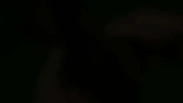 КАКОЙ СЕГОДНЯ ПРАЗДНИК?! 19 ДЕКАБРЯ смотреть онлайн