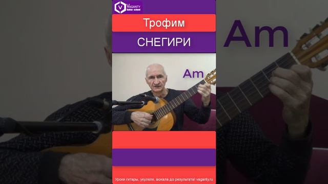 Снегири - Трофим/ хиты русского шансона #shorts #шортс #хорошиепесни