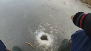 Последний лёд. Рыбалка 2022.  Окунь плотва, на безмотылку.