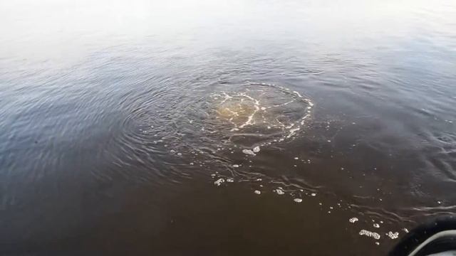 Обследование дюкера смотреть онлайн