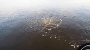 Обследование дюкера