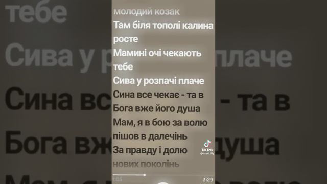 Там біля тополі калина росте мамині очі чекають тебе сива у розпачі плаче сина все чекає 🥺🥺😭