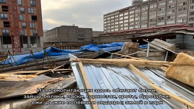 Достопримечательности Санкт-Петербурга: Павловский парк