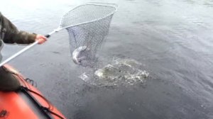 РЫБАЛКА В АПАТИТАХ