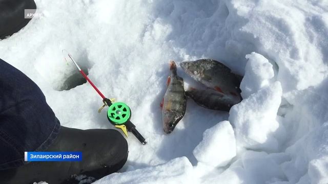 Самое "Трезвое село": жители деревни в Башкирии выиграли 3 млн рублей в республиканском конкурсе