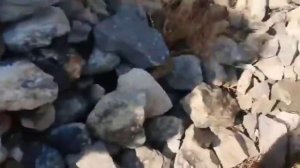 Памир. Рошткалинский район*нохияи Рошткалъа 2020