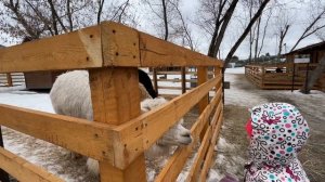 Московская ферма | Редкие животные