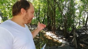 Спасение уток от жары. Ферменты в пруд. Saving ducks from the heat. Enzymes in the pond.