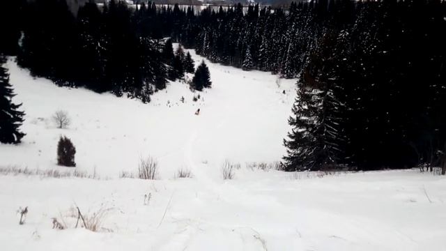 Очёр, Мокрушино, снегоход