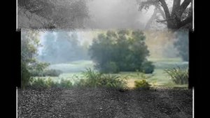 Утро туманное  Романс  Исп С Захаров