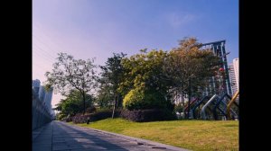 Samsung Expert RAW VS Pro Mode - Edit Photos in Lightroom #expertraw #samsung #mobilephotography