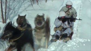 Рейдовые действия морпехов Тихоокеанского флота на снегоходах и всобачьих упряжках на Камчатке