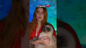 Сериал: В 16 лет каждому даётся способность. Ей выпали цветные круги ⚫️⚪️🟡🟣🔵🟢🔴 Часть 4