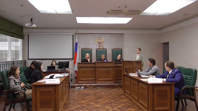 Модельный судебный процесс.
