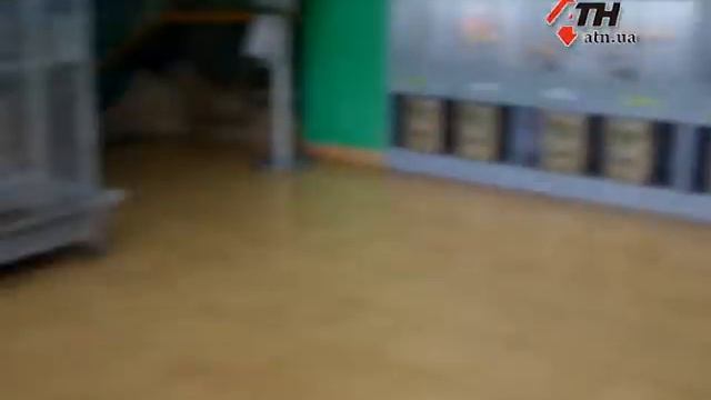 15.06.16 - В Харькове живет скунс, который уже знает, как сыграют "Украина" и Северная Ирландия" смотреть онлайн