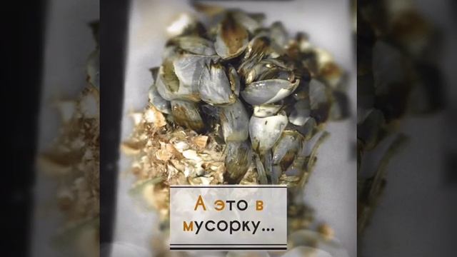 Артишок. Артишоки по-римски