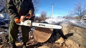 stihl ms361 25bar сухой дуб 50х60см. на что способен штиль мс361