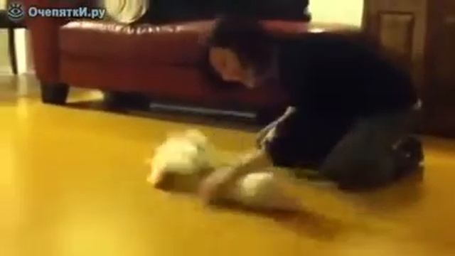 Пушистая+половая+тряпка смотреть онлайн