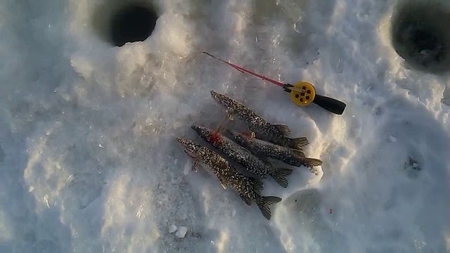 Зимняя рыбалка в мозыре смотреть онлайн