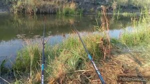 хорошая рыбалка на удочки. Отличный карась!