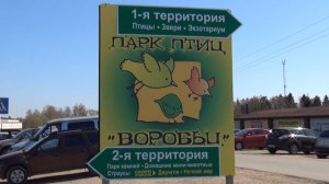 Парк птиц Воробьи