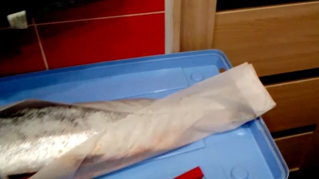 "Терская рыбка"-как солить рыбу- сёмгу. смотреть онлайн