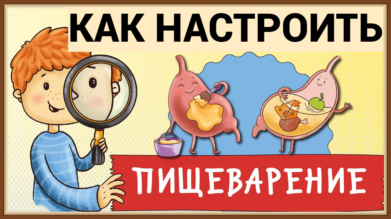 КАК НАСТРОИТЬ ПИЩЕВАРЕНИЕ