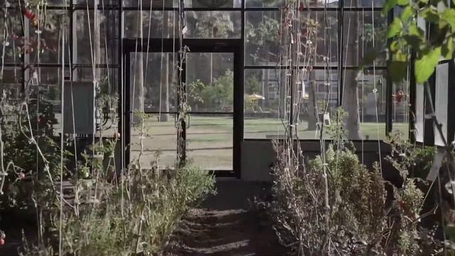 Нужно ли ставить теплицу на кадастровый учет