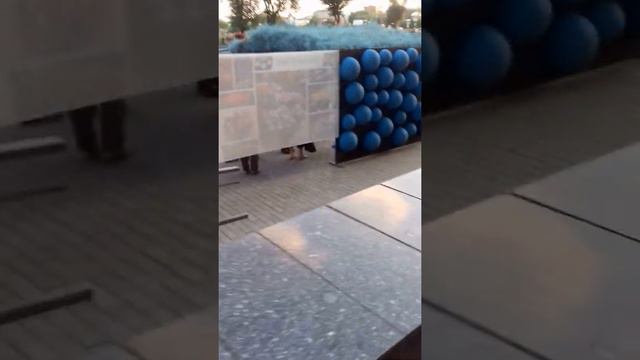 Выставка цветов В Харькове смотреть онлайн