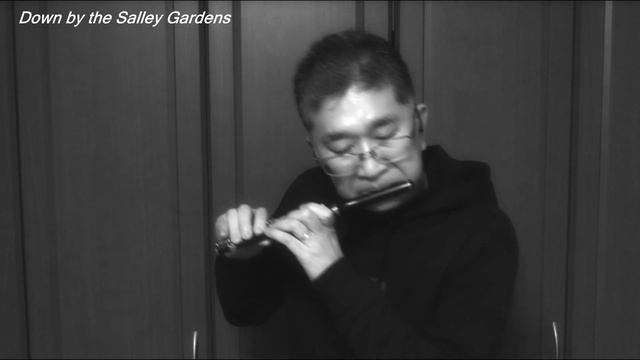 Down by the Salley Gardens / Piccolo смотреть онлайн