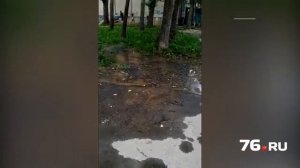 Вода хлещет сквозь асфальт