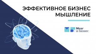 Эффективное бизнес-мышление|Мозг и бизнес|Андрей Курпатов