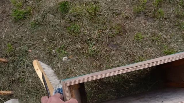 Вывод маток 2023. Работа с воспитательницей. Заселение микриков. смотреть онлайн