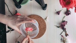 Стабилизируем цветы. Или как продлить жизнь срезанным цветам