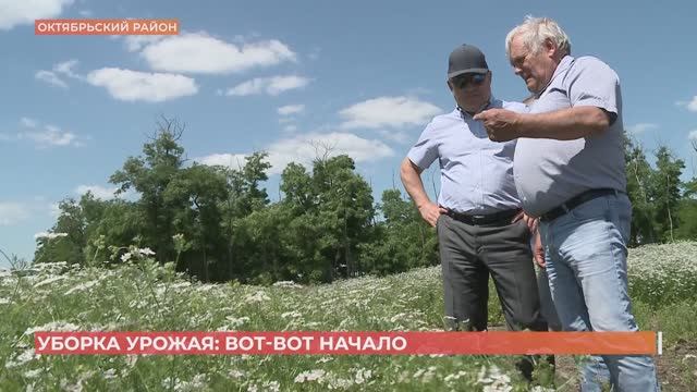 Уборка озимых зерновых начнется через несколько дней