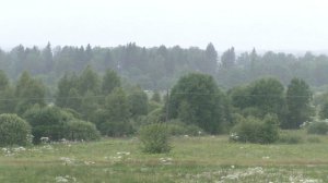 Электропоезд ЭР2Т-7238 перегон Бородино - Уваровка